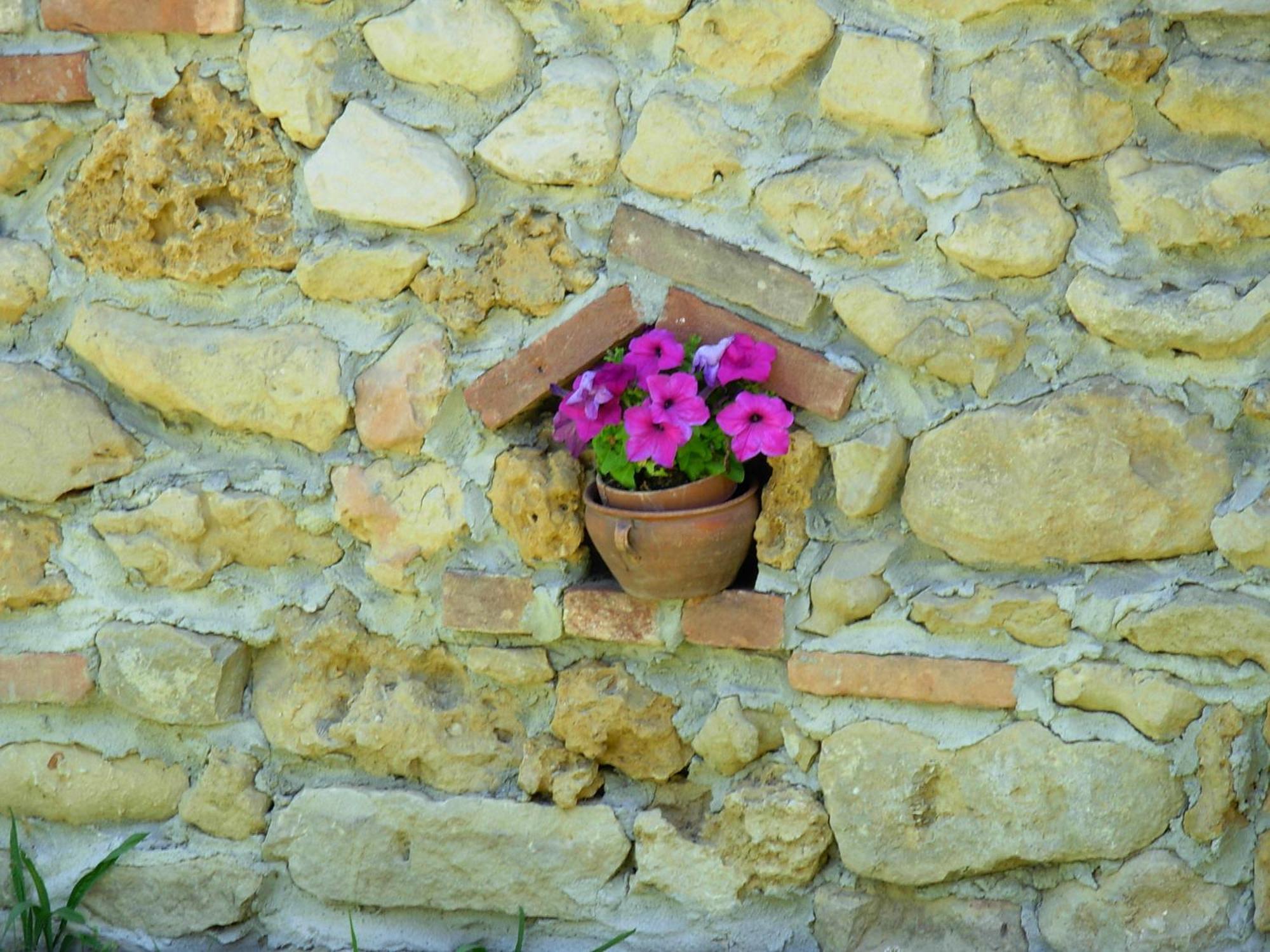 Bricco Dei Ciliegi Cortazzone Exterior foto